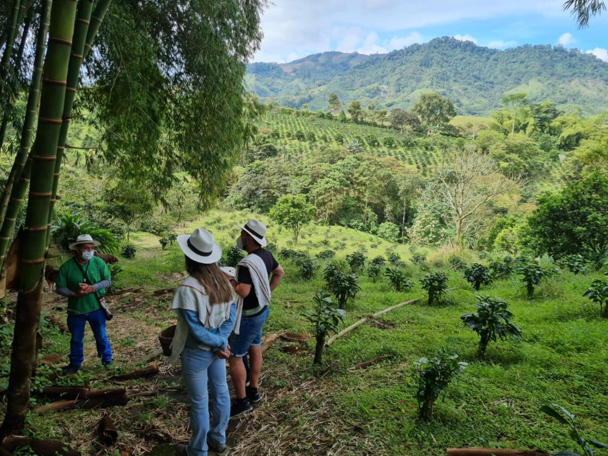Finca Del Cafe - Casa Typica Santa Rosa de Cabal Zewnętrze zdjęcie
